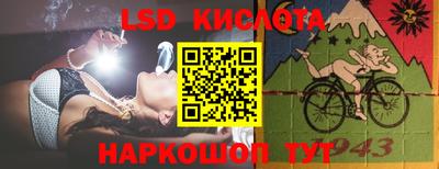 индика Бердск